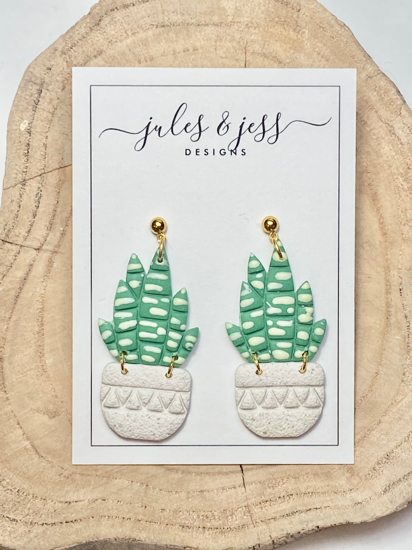 Snake plant dangle